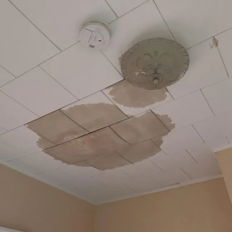 Ceiling Water Damage Repair in Jack County, TX