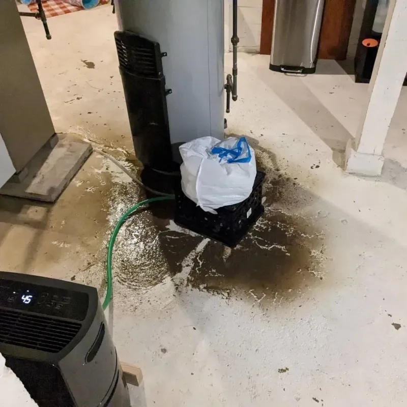 Sewage Backup Cleanup Service in Jack County, TX